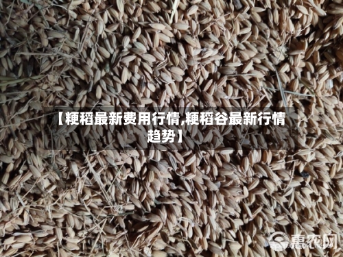【粳稻最新费用行情,粳稻谷最新行情趋势】-第1张图片
