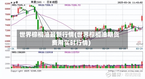 世界棕榈油最新行情(世界棕榈油期货费用实时行情)-第1张图片