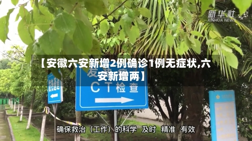 【安徽六安新增2例确诊1例无症状,六安新增两】-第1张图片