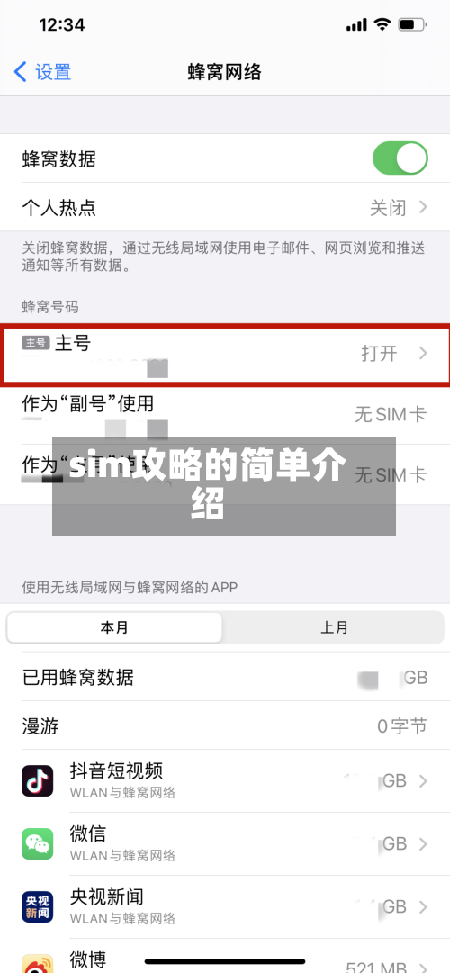 sim攻略的简单介绍-第1张图片