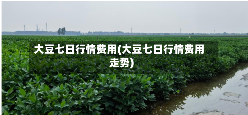 大豆七日行情费用(大豆七日行情费用走势)-第1张图片