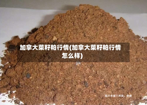 加拿大菜籽粕行情(加拿大菜籽粕行情怎么样)-第1张图片