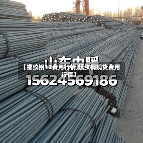 【螺纹钢12费用行情,螺纹钢现货费用行情】-第1张图片