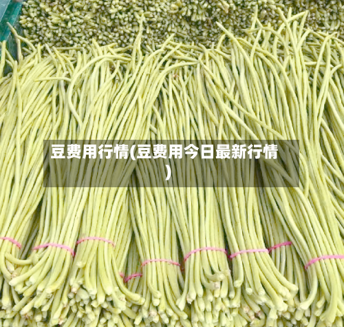 豆费用行情(豆费用今日最新行情)-第1张图片