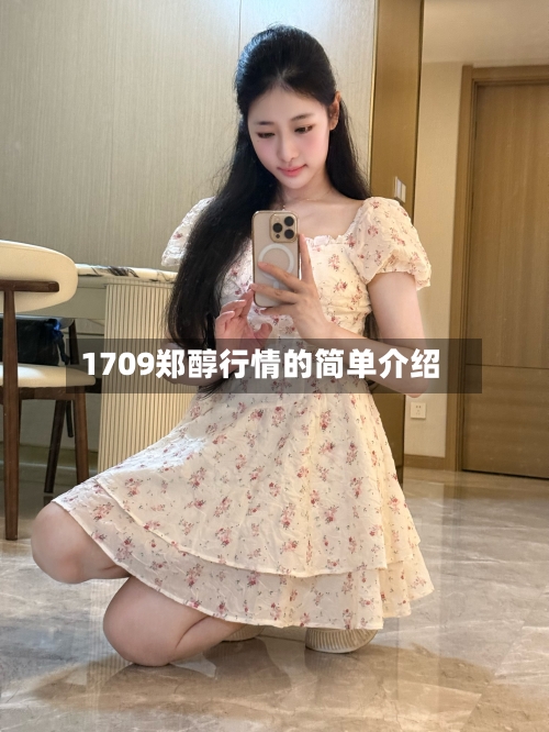 1709郑醇行情的简单介绍-第1张图片