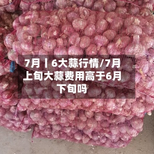 7月丨6大蒜行情/7月上旬大蒜费用高于6月下旬吗-第1张图片