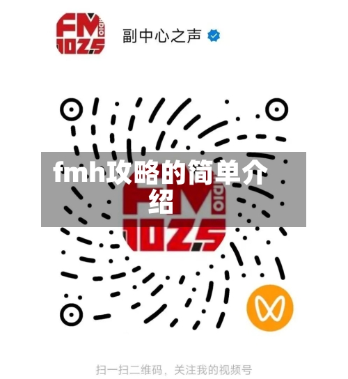 fmh攻略的简单介绍-第1张图片