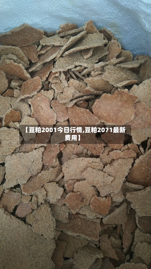 【豆粕2001今日行情,豆粕2071最新费用】-第1张图片