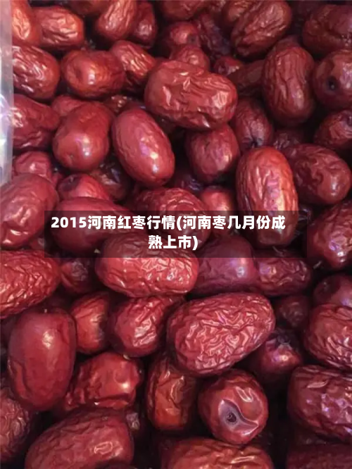 2015河南红枣行情(河南枣几月份成熟上市)-第1张图片