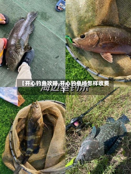 【开心钓鱼攻略,开心钓鱼场怎样收费】-第1张图片