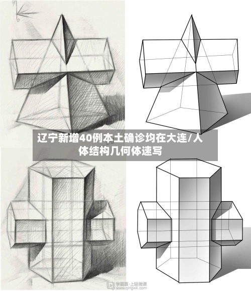辽宁新增40例本土确诊均在大连/人体结构几何体速写-第1张图片