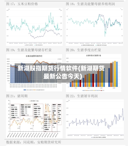 新湖股指期货行情软件(新湖期货最新公告今天)-第1张图片