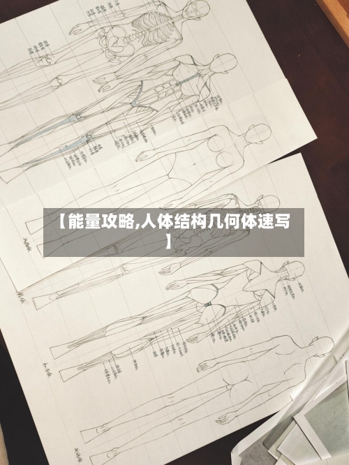 【能量攻略,人体结构几何体速写】-第1张图片