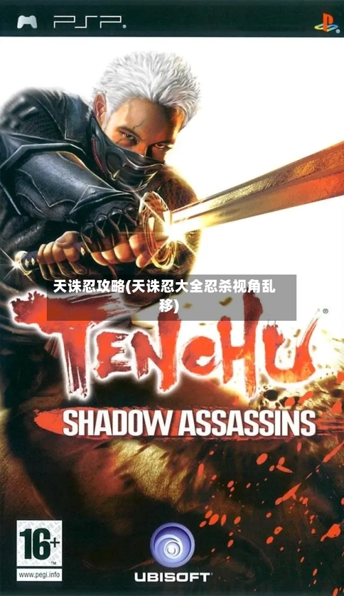 天诛忍攻略(天诛忍大全忍杀视角乱移)-第1张图片