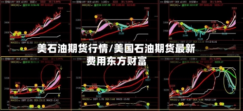 美石油期货行情/美国石油期货最新费用东方财富-第3张图片