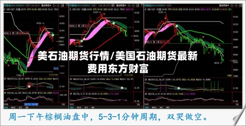 美石油期货行情/美国石油期货最新费用东方财富-第1张图片