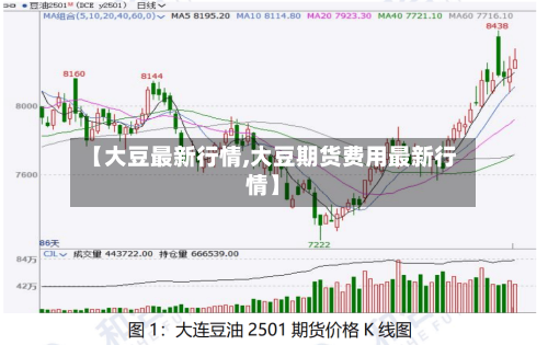 【大豆最新行情,大豆期货费用最新行情】