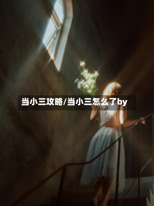 当小三攻略/当小三怎么了by-第1张图片