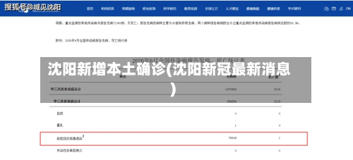 沈阳新增本土确诊(沈阳新冠最新消息)-第3张图片