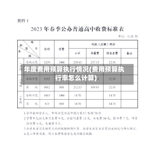 年度费用预算执行情况(费用预算执行率怎么计算)-第1张图片