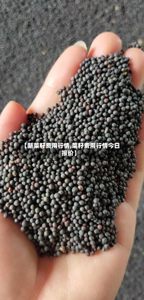 【新菜籽费用行情,菜籽费用行情今日报价】-第1张图片