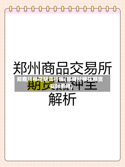 郑商所棉花期货行情(郑商所棉花期货实时费用)-第1张图片
