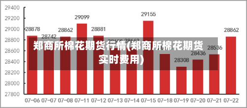 郑商所棉花期货行情(郑商所棉花期货实时费用)-第2张图片