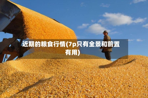 近期的粮食行情(7p只有全景和前置有用)-第1张图片