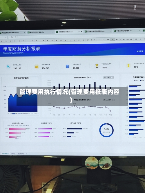 管理费用执行情况(管理费用报表内容)