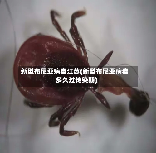 新型布尼亚病毒江苏(新型布尼亚病毒多久过传染期)-第1张图片