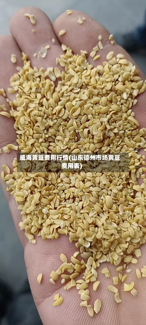 威海黄豆费用行情(山东德州市场黄豆费用表)-第1张图片