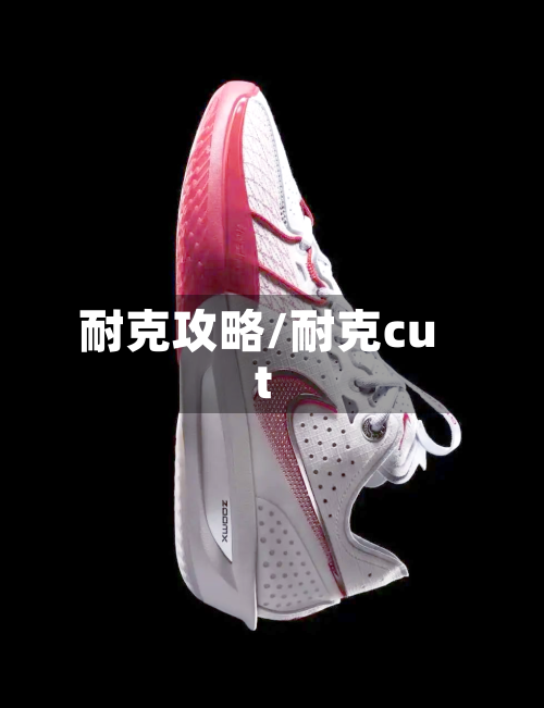 耐克攻略/耐克cut-第1张图片