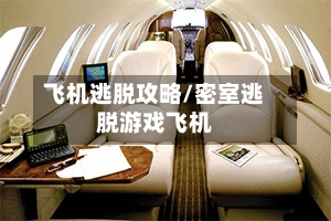 飞机逃脱攻略/密室逃脱游戏飞机-第2张图片