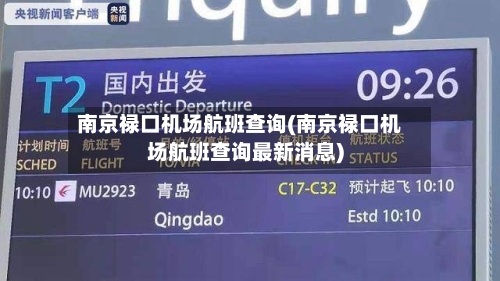 南京禄口机场航班查询(南京禄口机场航班查询最新消息)-第1张图片