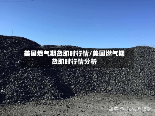 美国燃气期货即时行情/美国燃气期货即时行情分析-第1张图片