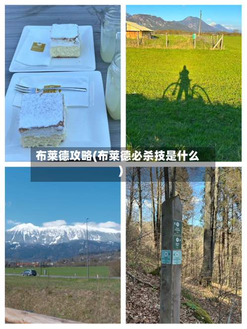 布莱德攻略(布莱德必杀技是什么)-第1张图片