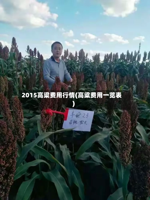 2015高粱费用行情(高粱费用一览表)-第1张图片