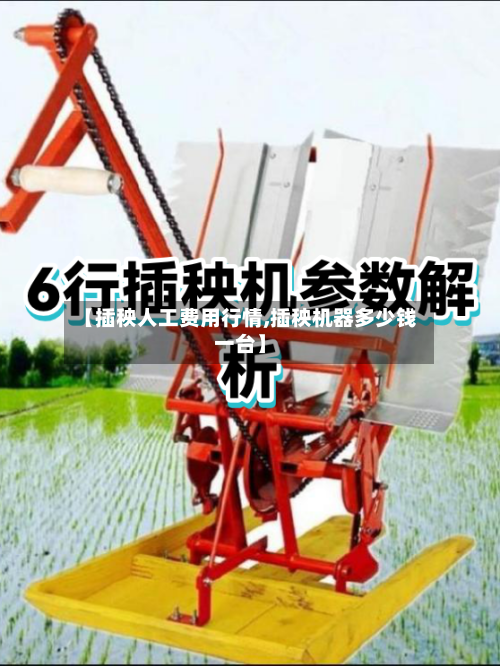 【插秧人工费用行情,插秧机器多少钱一台】-第2张图片