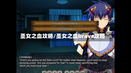 圣女之血攻略/圣女之血brave攻略-第1张图片