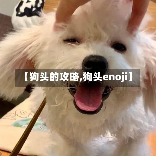 【狗头的攻略,狗头enoji】