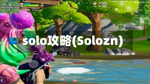 solo攻略(Solozn)