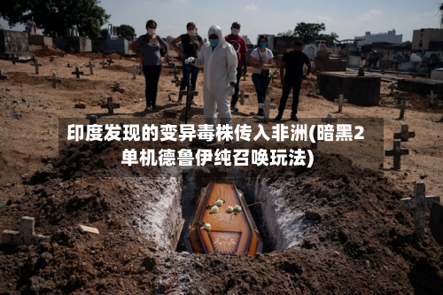 印度发现的变异毒株传入非洲(暗黑2单机德鲁伊纯召唤玩法)-第1张图片