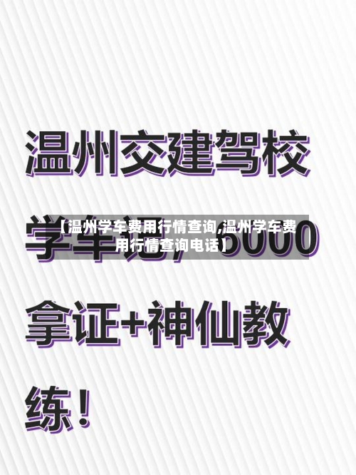 【温州学车费用行情查询,温州学车费用行情查询电话】-第2张图片
