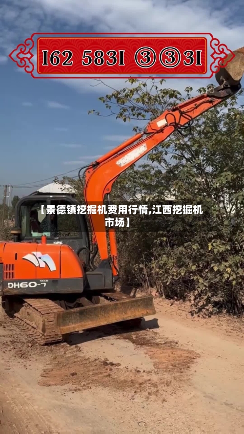【景德镇挖掘机费用行情,江西挖掘机市场】-第1张图片