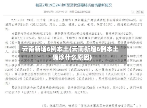 云南新增6例本土(云南新增6例本土确诊什么原因)-第2张图片
