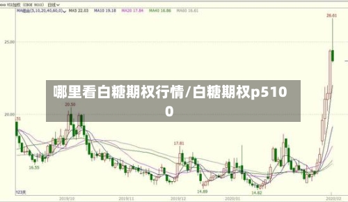 哪里看白糖期权行情/白糖期权p5100-第1张图片