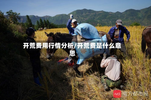 开荒费用行情分析/开荒费是什么意思-第1张图片