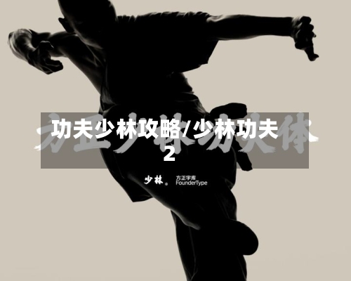 功夫少林攻略/少林功夫2-第1张图片