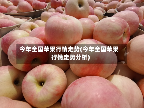 今年全国苹果行情走势(今年全国苹果行情走势分析)-第3张图片