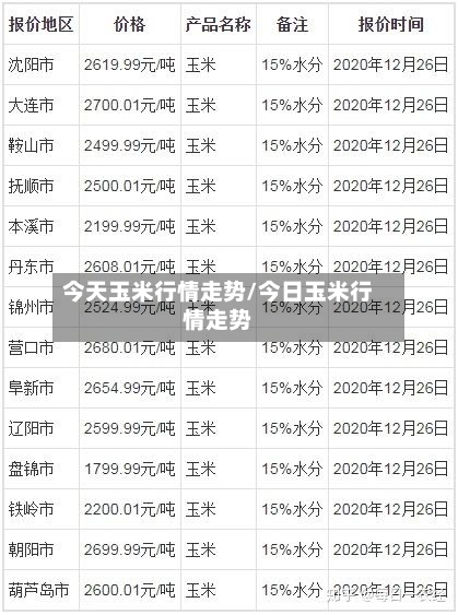今天玉米行情走势/今日玉米行情走势-第1张图片